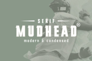 Mudhead Serif: A Bold Typeface for Editorial Excellence