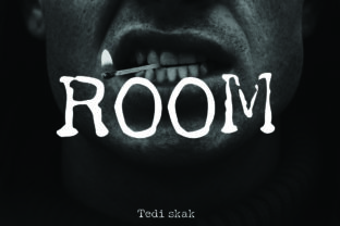 Room Typeface: A Bold Slab Serif for Creative Branding
