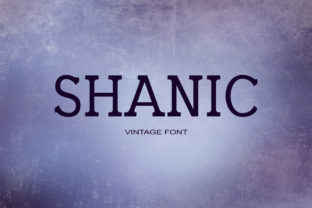 Shanic: A Bold Typeface That Elevates My Brand