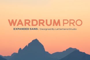 Wardrum Pro: A Modern Sans Serif Typeface for Web Design